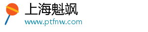 上海魁颯